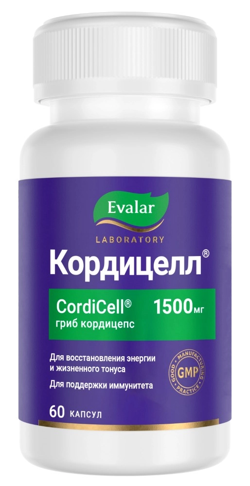 Кордицелл капс. 0.5г N60~БАД Эвалар
